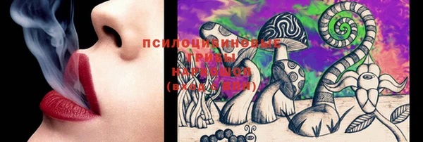 хмурый Алексеевка