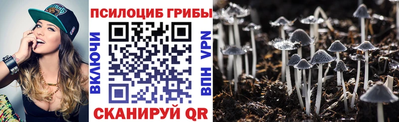 Галлюциногенные грибы Psilocybine cubensis  kraken онион  Котельники  как найти закладки 