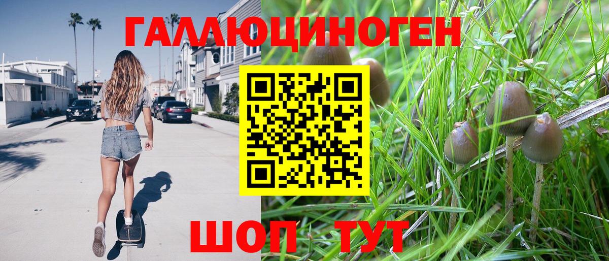 Псилоцибиновые грибы мицелий  Вход с VPN  Котельники  Псилоцибиновые грибы MAGIC MUSHROOMS 