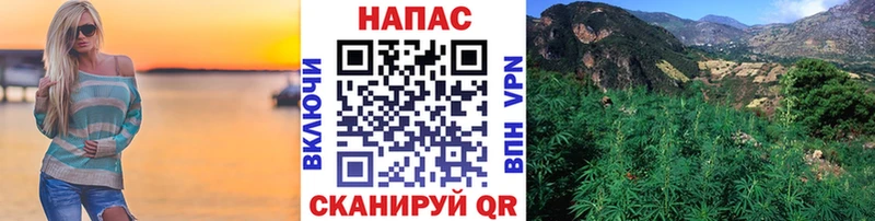 Конопля MAZAR Котельники